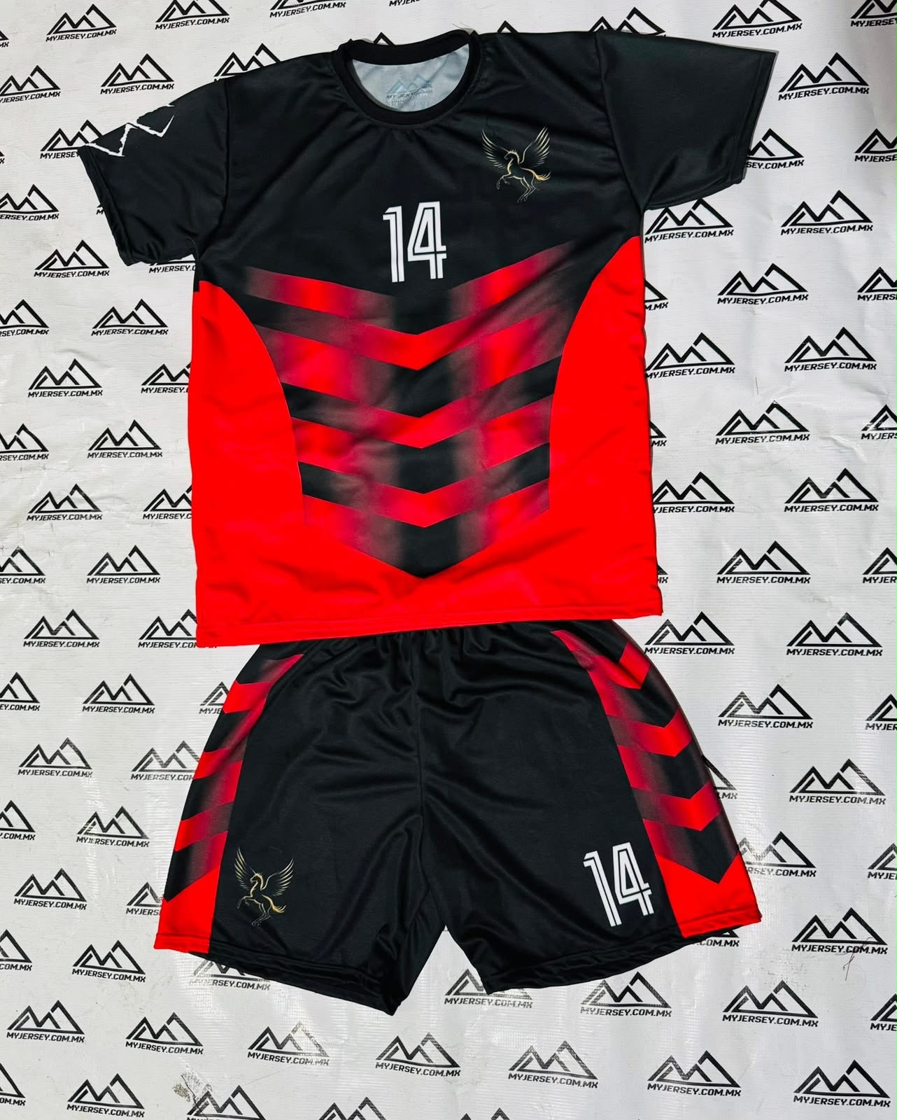PORTAFOLIO PLAYERA Y SHORT